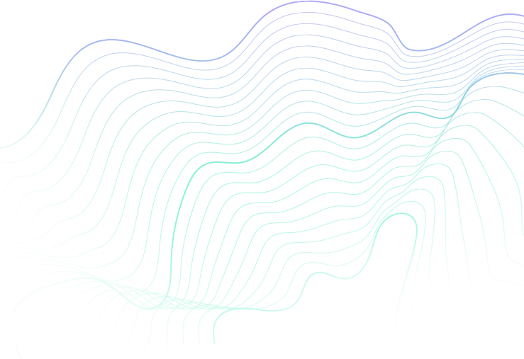 Shape